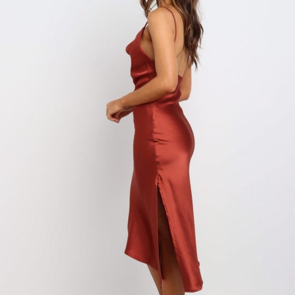 PETAL & PUP CYPRESS DRESS IN RUST - Picture 5 of 9